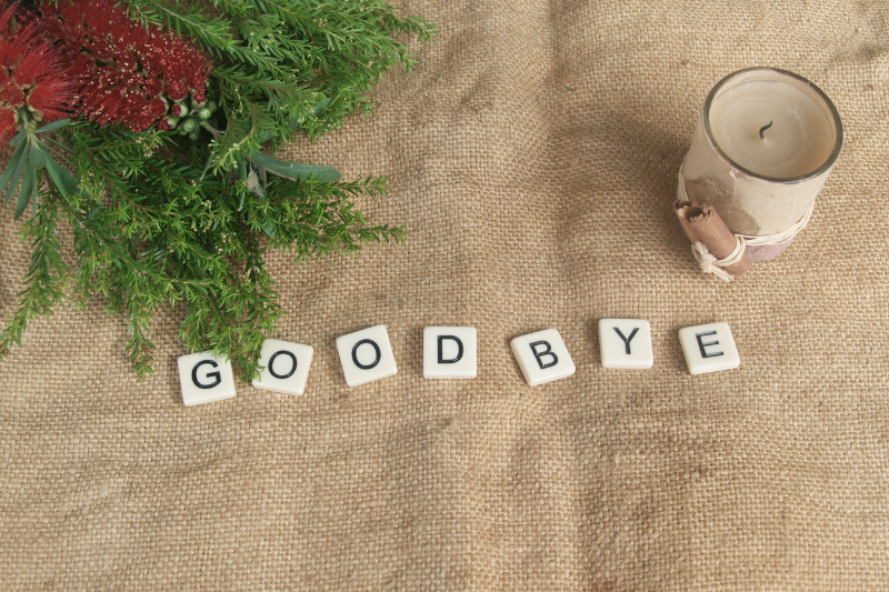 Read more about the article Time to Say Goodbye